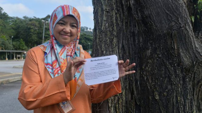 Dr. Nor Edzan Che Nasir (Chief Librarian) and her favourite tree!